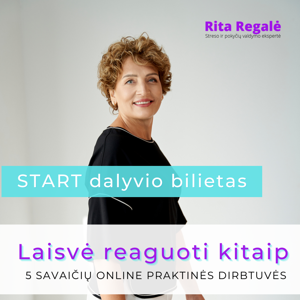 Rita start start_dirbtuves